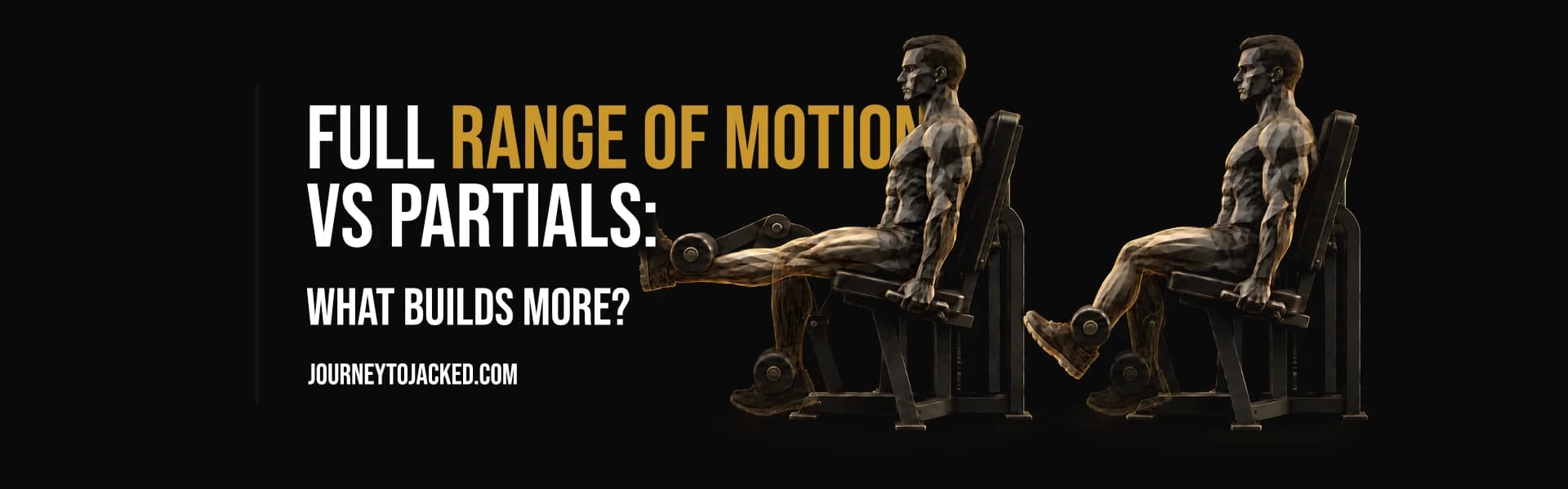 Full Range of Motion vs Partials: What Builds More?
