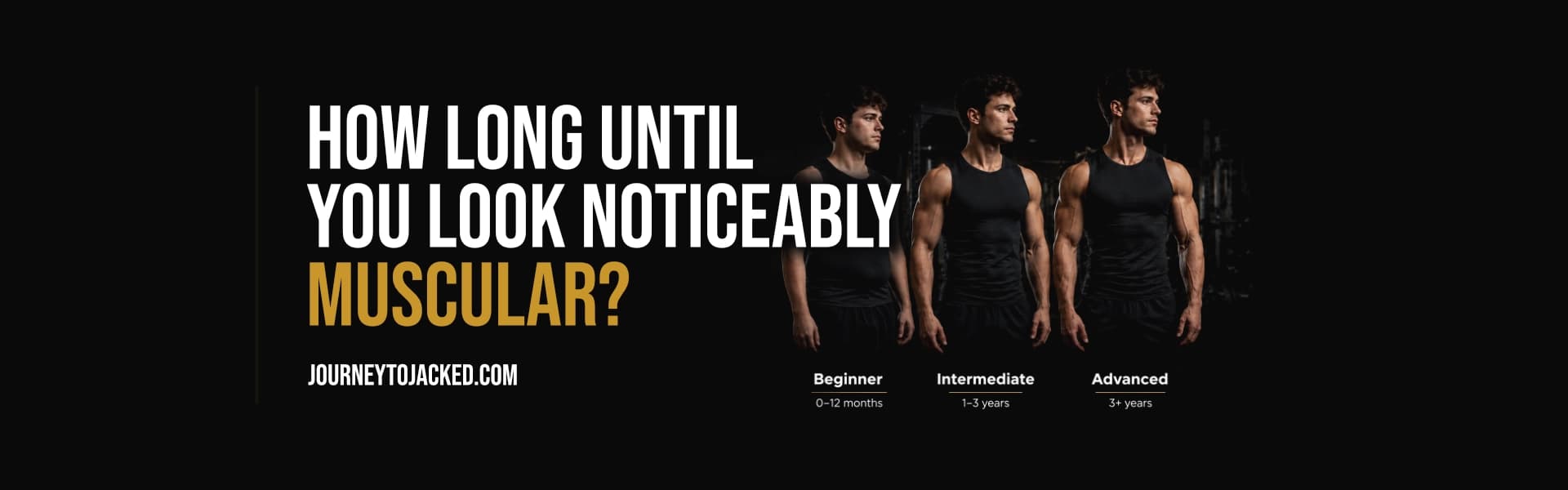 How Long Until You Look Noticeably More Muscular
