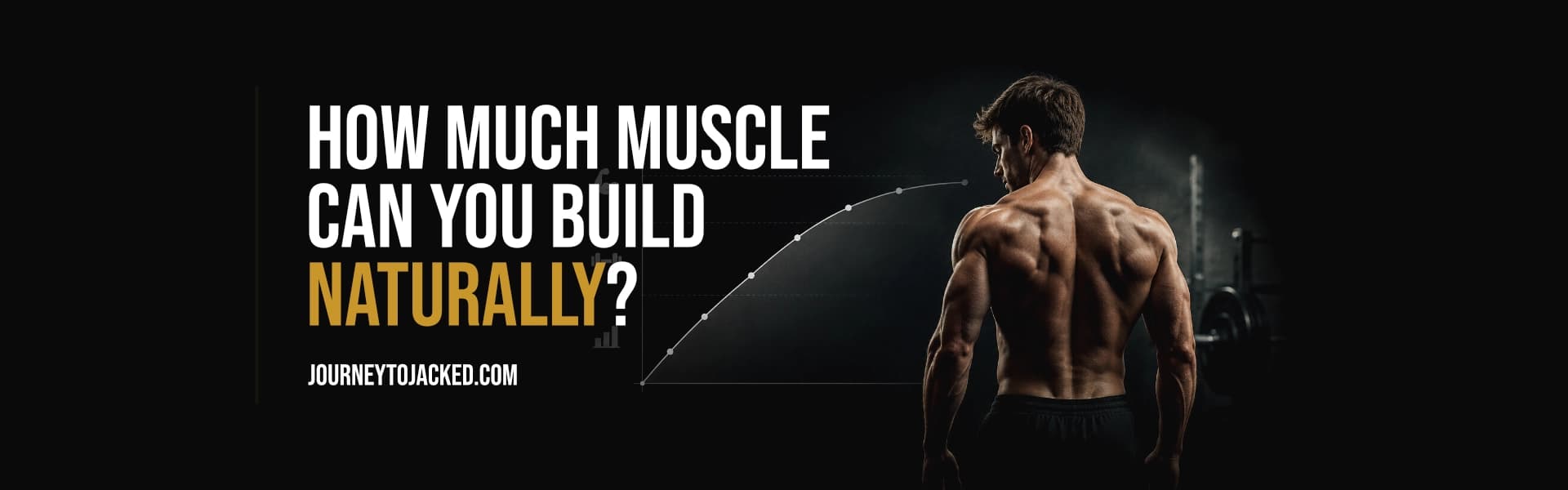 How Much Muscle Can You Build Naturally?