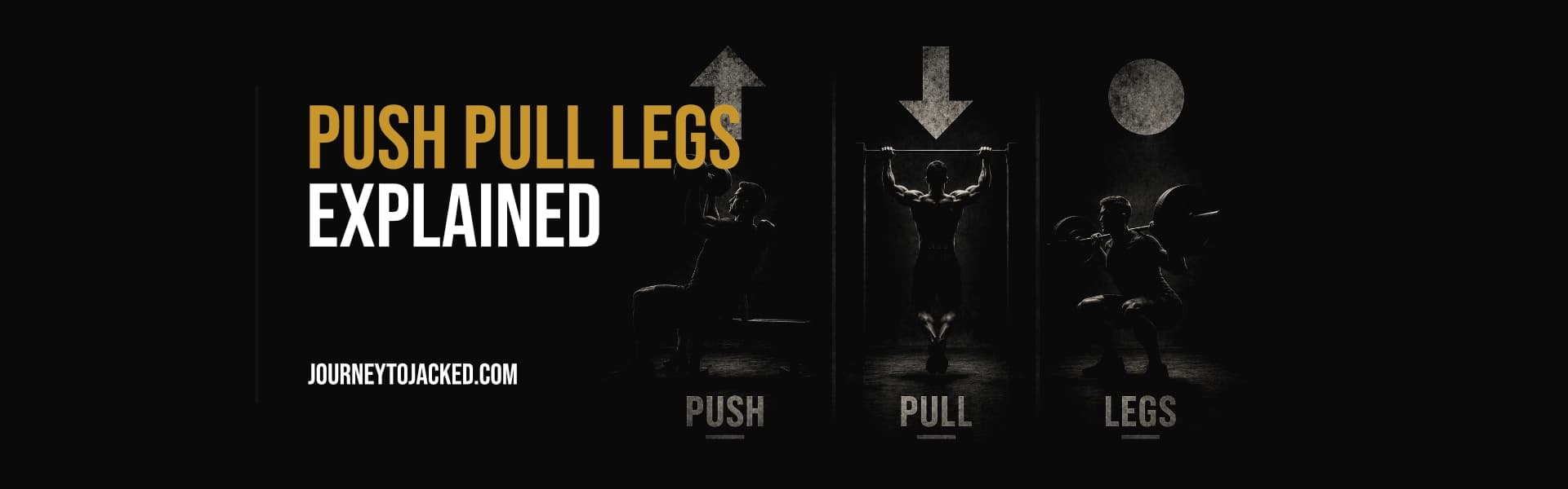 Push Pull Legs Explained, No Bro-Science
