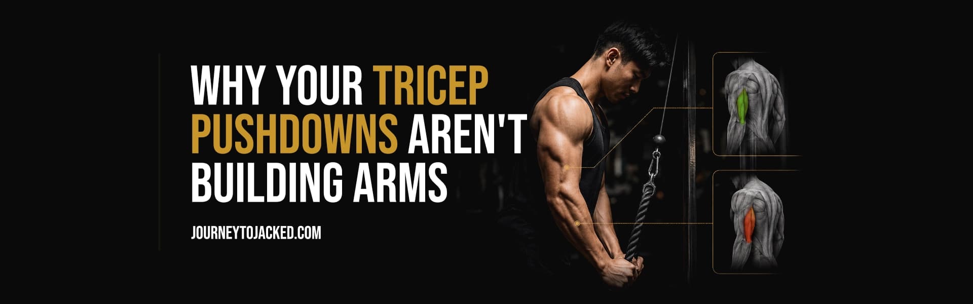 Why Your Tricep Pushdowns Aren't Building Arms