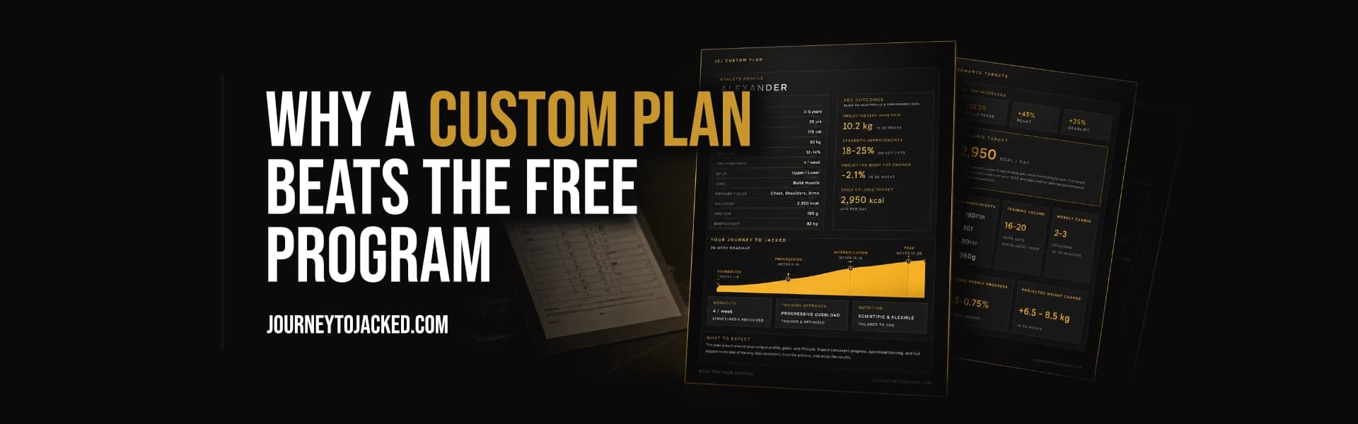 Why a Custom Plan Beats the Free Program